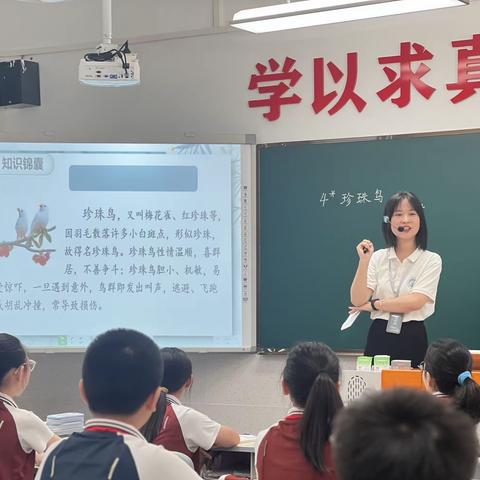 立足课堂展风采，凝心聚力共前行 ——联正实验学校小学部语文组教研活动