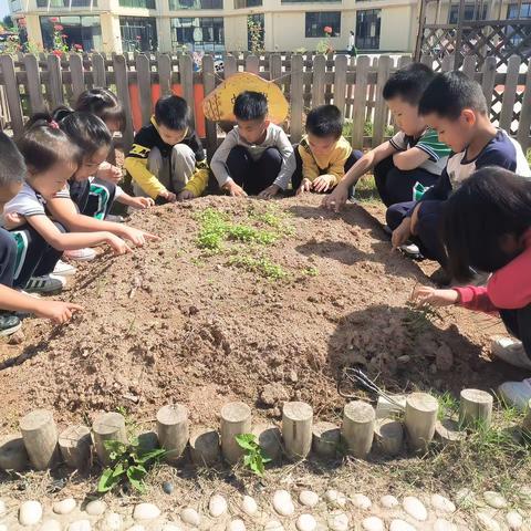 宜春市经都幼儿园大五班班本课程——《嗨，泥好呀！》