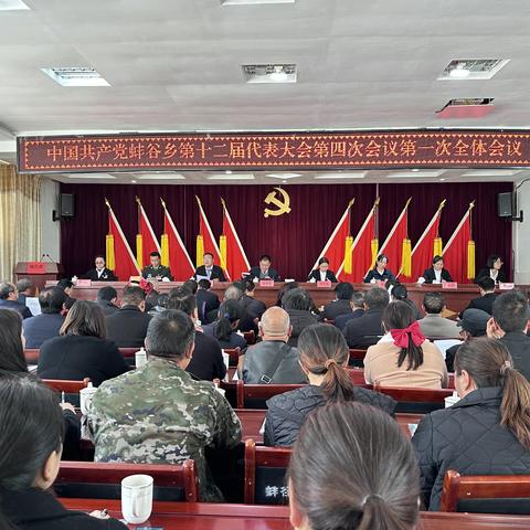 接续奋斗创佳绩 砥砺前行促发展 ——中国共产党蚌谷乡第十二届代表大会第四次会议隆重举行！