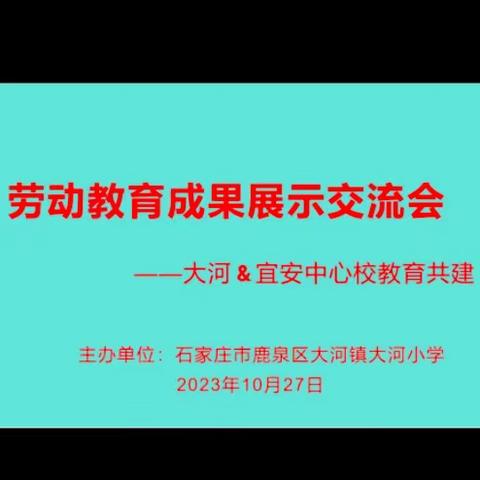 躬耕劳动实践    绽放教育之花——大河小学劳动教育成果展示交流会