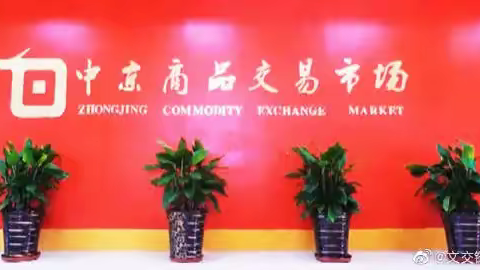 中京商品交易市场专注于有色金属交易，打造全方位大宗商品贸易服务平台。