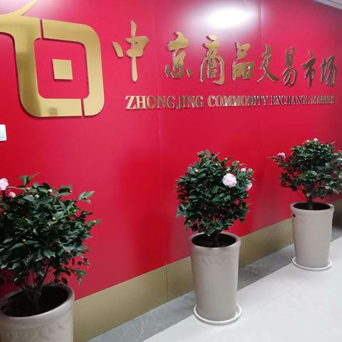 中京商品交易市场：致力于构建大宗商品数字化生态圈