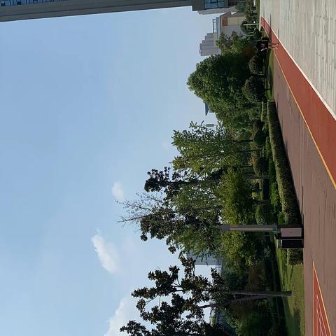 中京商品交易市场线上线下一体化发展，有效服务实体经济