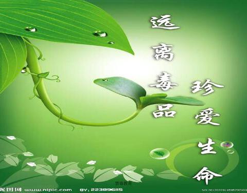 昂首奋进新征程·谱写无毒新篇章