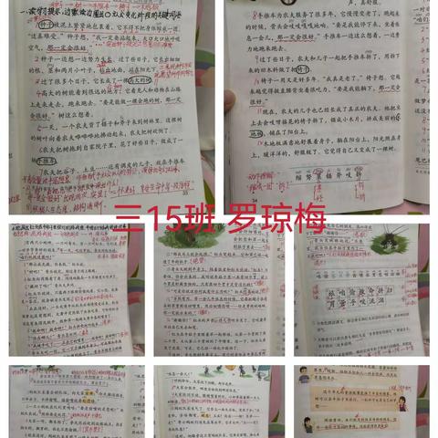 西三语备课痕迹