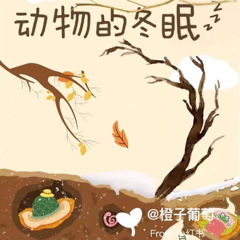 【新城学前•自强视线】“书香润童心·故事伴成长”自强周末故事汇——第八期 《立冬•动物的冬眠》。