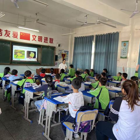 青蓝携手，高效并行  ——  董团小学“青蓝工程”青方学习活动