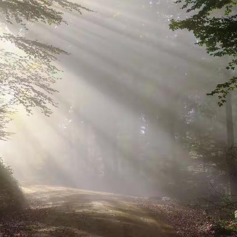 “天在下雨，心在放晴”