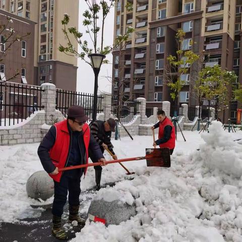 【迎战暴风雪】铲雪除冰，慈惠物业“志愿红”在行动