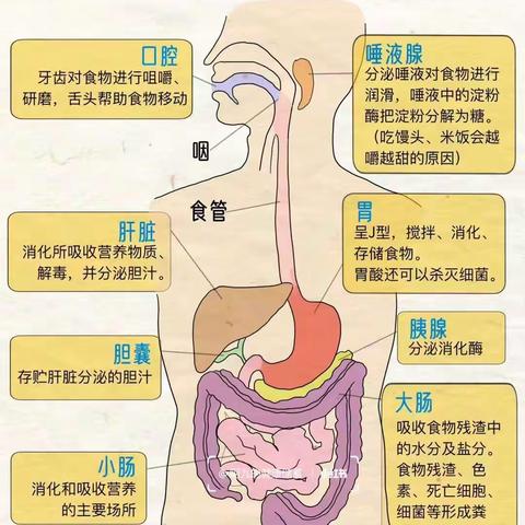 我是大胃王