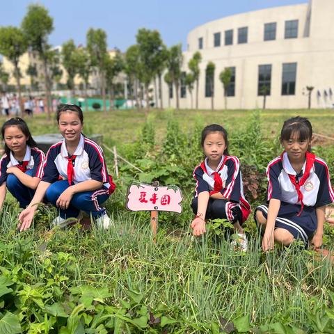 夏日绿堪染  正是除草时 —唐河县第一完全学校小学部 劳动育人实践活动