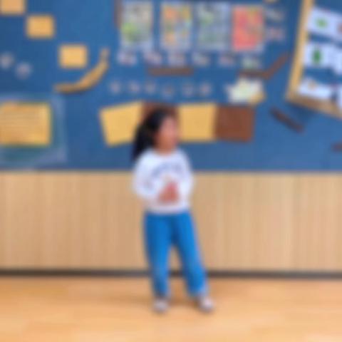 睿智情商2ＱA第十三周《玩具警长的小助手》