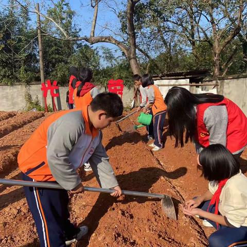 走进劳动基地 体验劳动快乐 ——沙县区高桥中心学校劳动实践基地活动纪实