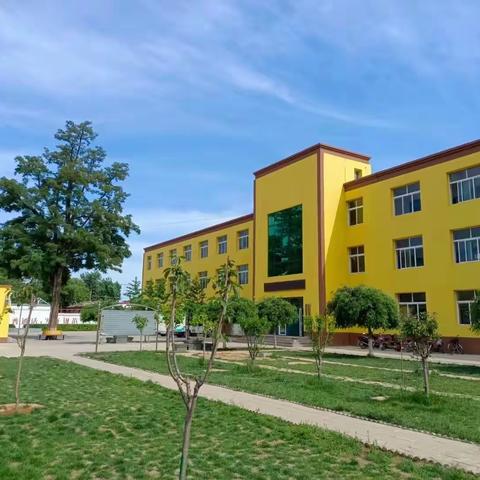 寒梅傲雪，暗香袭来——遂城镇大庞村小学期末喜报