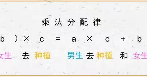 《乘法分配律》 ——数学学习的小帮手