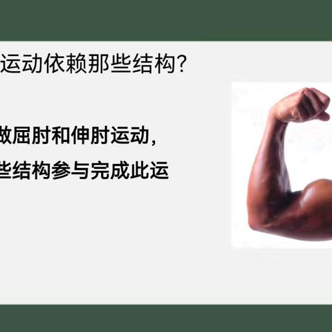 展课堂风采，促教师成长 ——《动物的运动》公开课