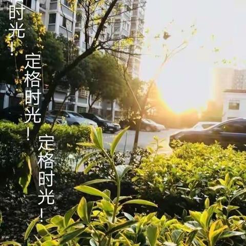 爱丽的文章