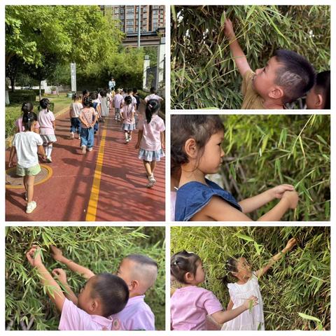 【课程故事】趣探竹韵，悦动竹竿（一）——富丹友谊幼儿园中一班