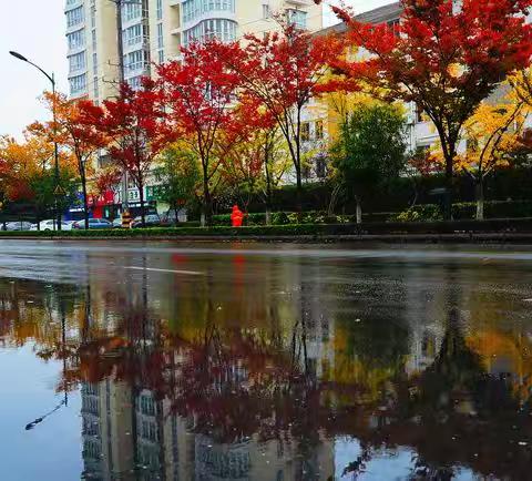 【大马镇中】古诗词里话秋雨