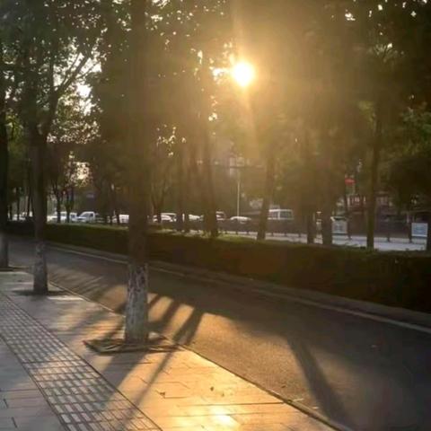 值周志愿行，青春展担当——23.13值周记