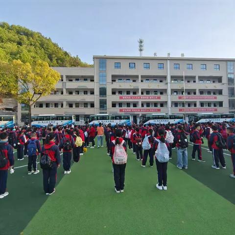 大木小学2025年春季研学游活动总结