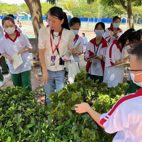 走进多样生物 领略别样美好—海桂中学七年级生物调查实践活动