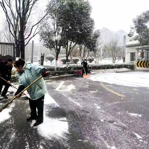 初雪如约而至，物业扫雪暖人心