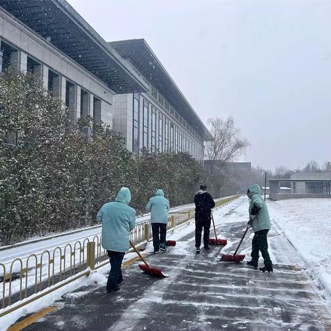 瑞雪兆丰年，奋战除雪保畅通