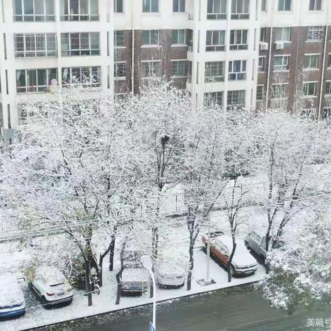 初雪纷纷，童趣飞扬