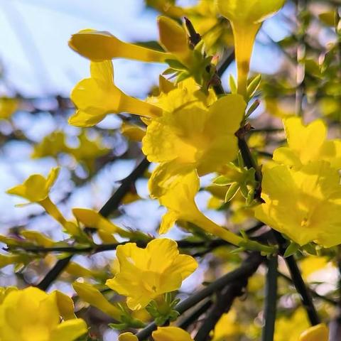 四二班的成长之路