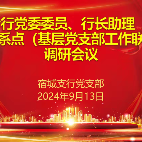 宿迁分行党委委员、行长助理 房金陵至宿城支行党支部工作联系点开展调研