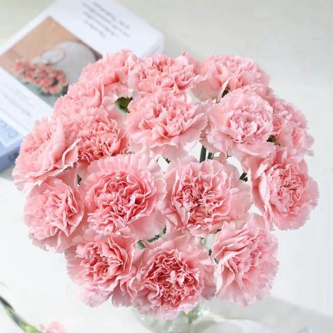 【高新教育】春风有信，花开有期——高新区第三十八幼儿园中二班家长课堂活动剪影