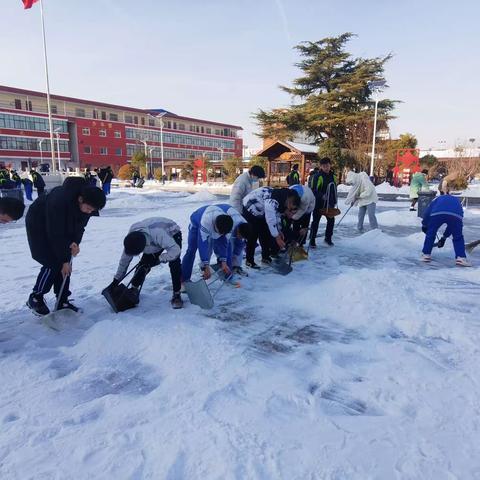 【新时代文明实践】以雪为令，暖冬行动——濮阳市油田第五中学师生开展清理校园积雪活动