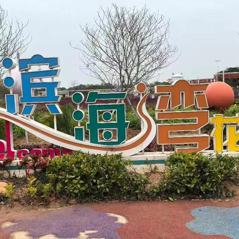 踏青赏花 邂逅春日——参加深圳市老年协会党支部组织开展主题党日联谊活动