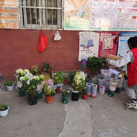 网格力量//陕建机社区“插花、种花、种春风”共建美丽家园