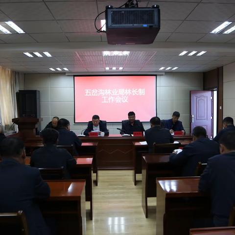 以“林长制”促“林长治” 守护一方绿水青山