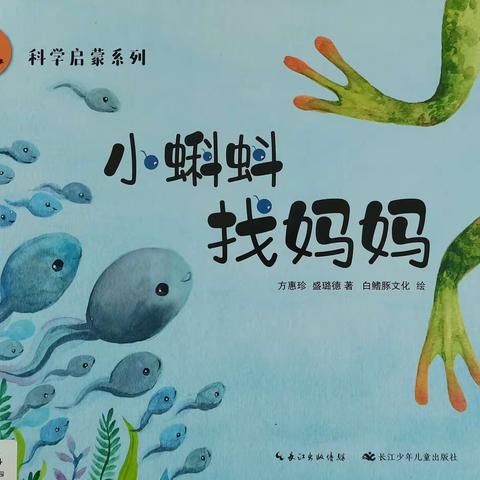 【班级新闻】蝌蚪来做客——芜湖市伟星印江澜幼儿园小二班课程故事