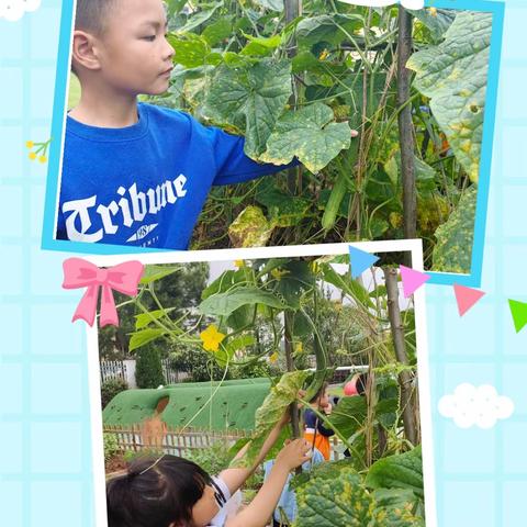 【班级动态】童年乐章，快乐启航——周田中心幼儿园大二班第13周班级动态