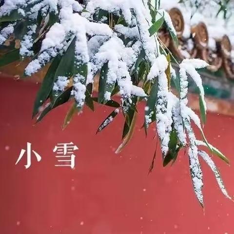 小雪至，冬始俏——交河镇五里小学“二十四节气之小雪”主题教育活动