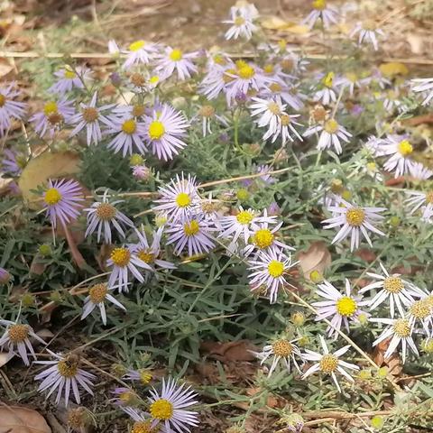 张芊靓今日美好日常