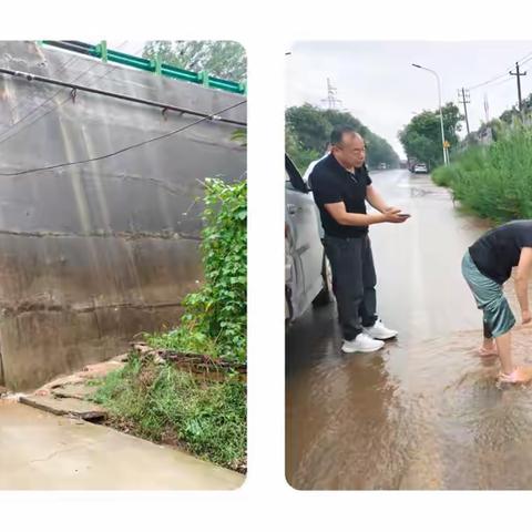 市容城建办本周工作动态