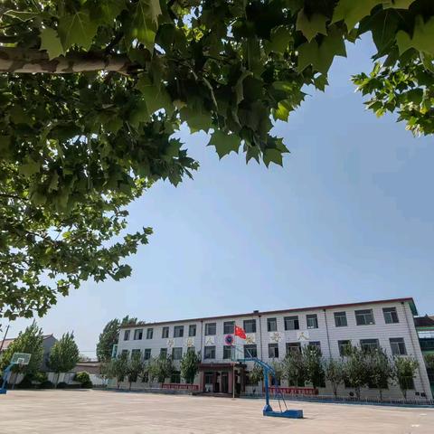 精心组织，全面检测—堡子店小学阶段性检测活动纪实