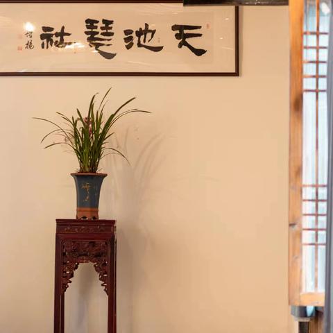 天池琴社|琴心传承 新章再续【第四期(2班)】
