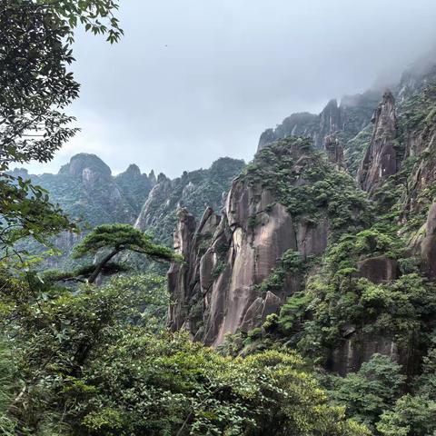 人生处处是风景，且行且珍惜