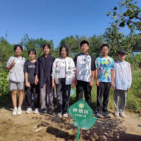 不负韶华行且知——七年级八班劳动基地实践活动掠影