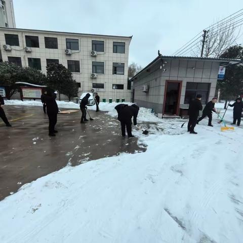 闻雪而动，暖心护行，不畏严寒显担当——新元街道组织开展扫雪除冰活动