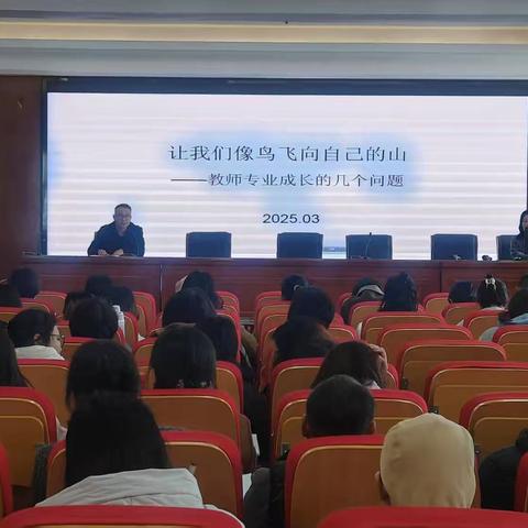 专家引领明方向，共探教师成长新路径