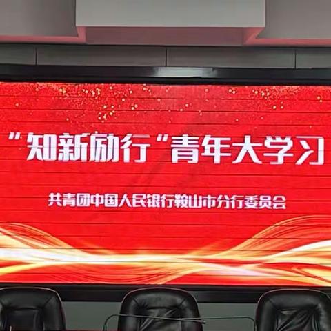 鞍山市分行团委组织开展“知新励行”青年大学习交流研讨会