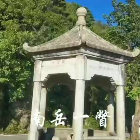 段仲沅的文章