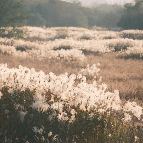 不负秋光，“育”见成长 —— 丽水市莲都区大港头学校秋假综合实践作业成果展示